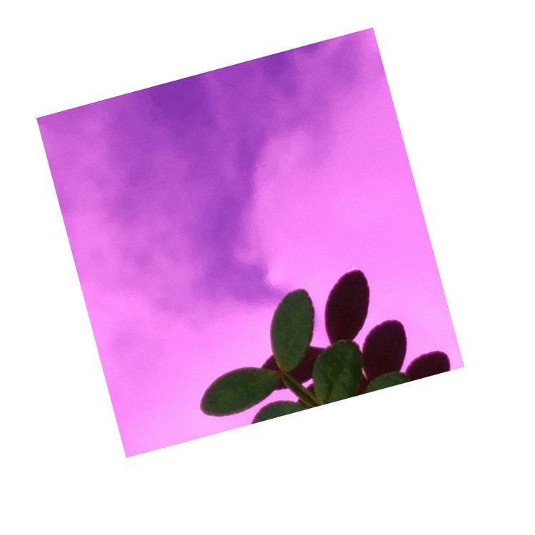 紫色鏡面板 紫色鏡面板